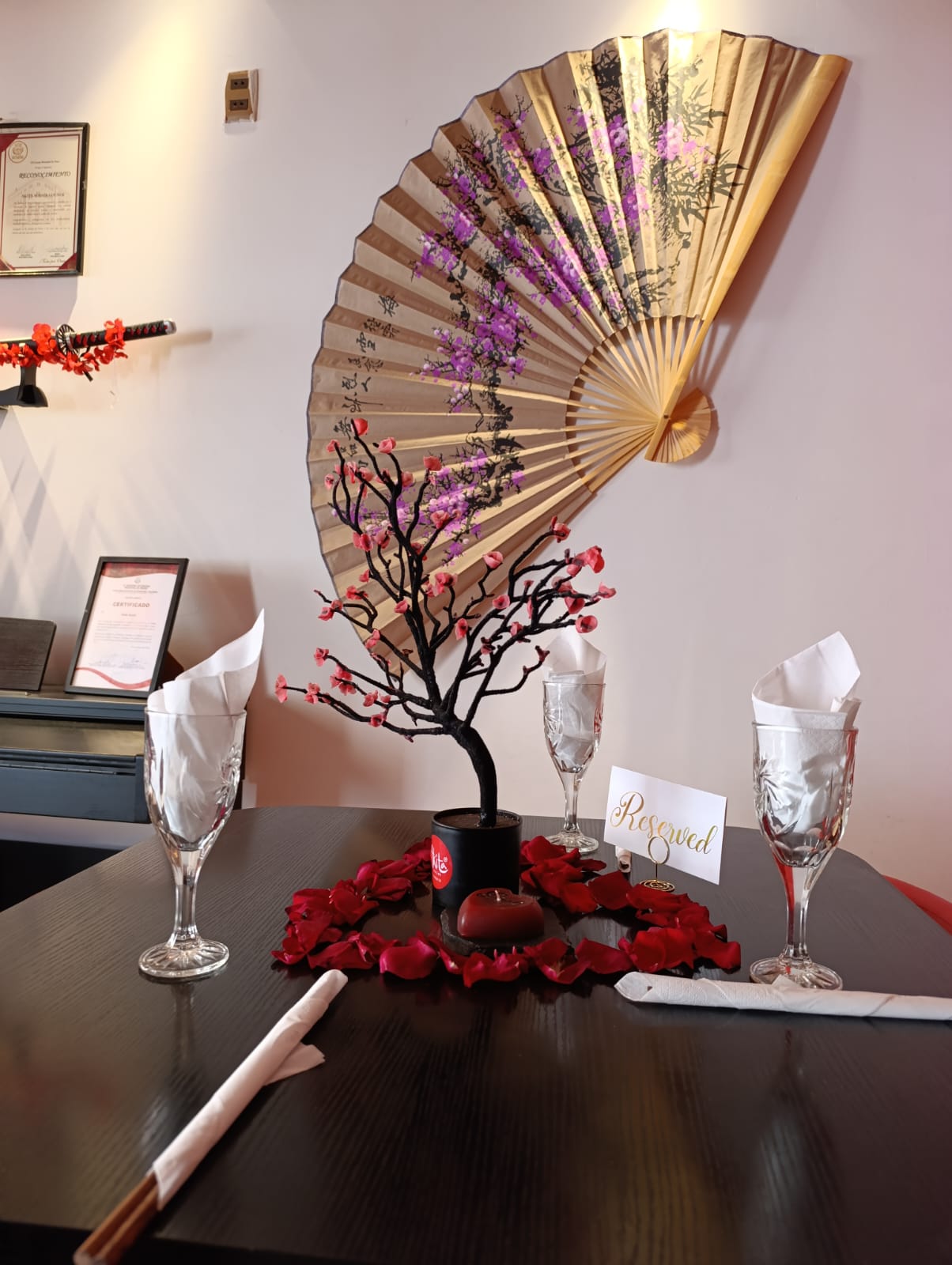 Evento Especial Akita